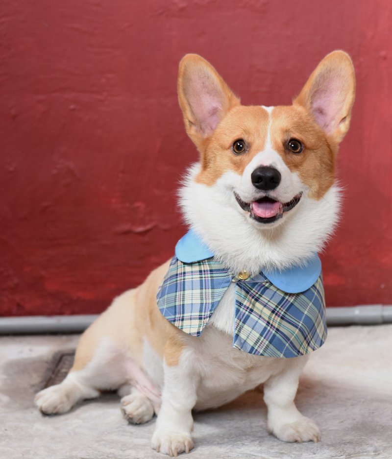 英伦格纹宠物斗篷-天空蓝-狗【ZAZAZOO】 - 衣/帽 - 棉．麻 蓝色