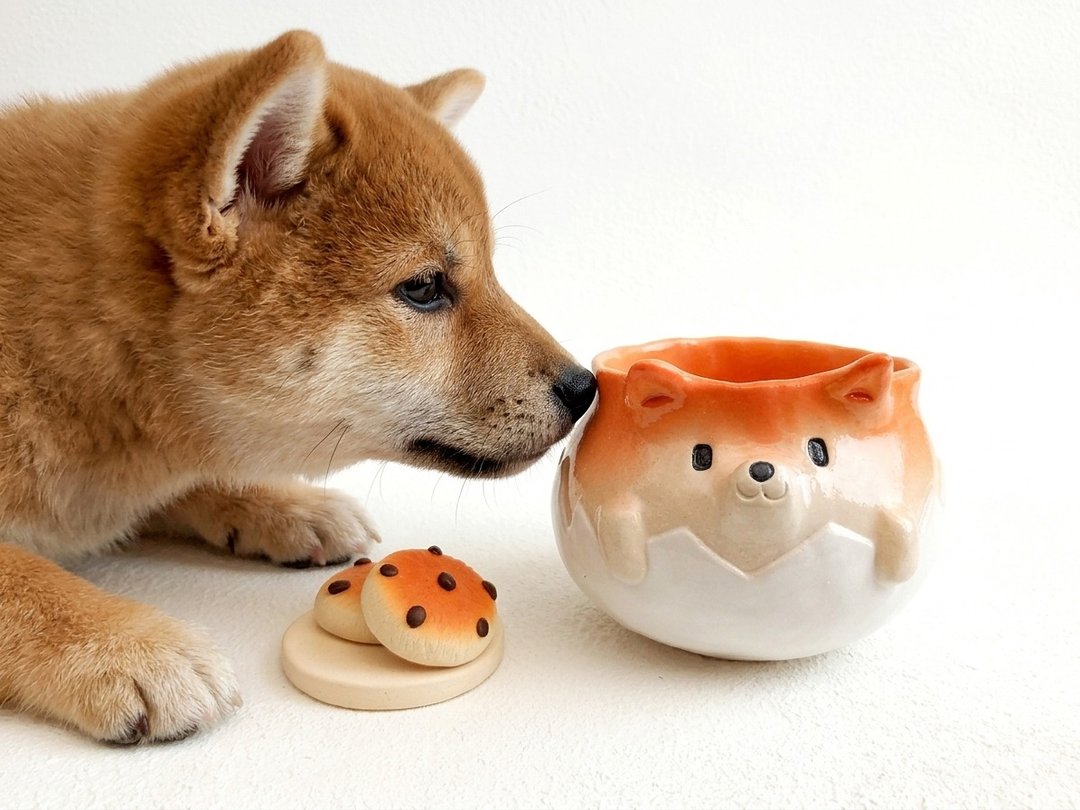 从蛋中诞生的柴犬马克杯 (略有变形) - 送给爱狗人士的礼物 - 咖啡杯/马克杯 - 陶 白色