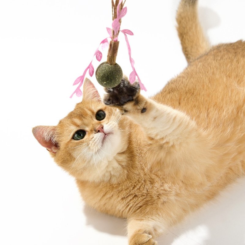 【LUUKS UP】愿望种子猫玩具 | 每一颗种子都代表着不同心愿 - 玩具 - 其他材质 多色