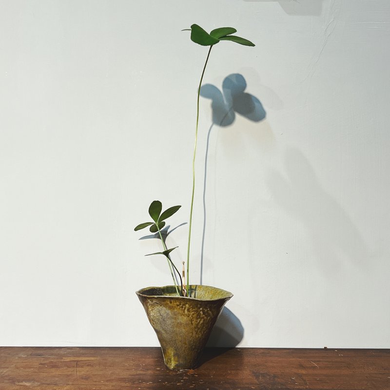 柴烧花器遇见鳞秕泽米铁植球 - 植栽/盆栽 - 陶 多色