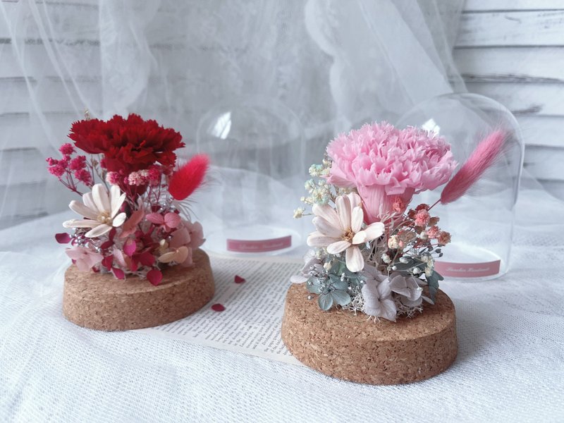 蓝芯花艺 瓶中康乃馨 母亲节花束 母亲节 生日礼物 母亲节礼盒 - 干燥花/捧花 - 植物．花 多色