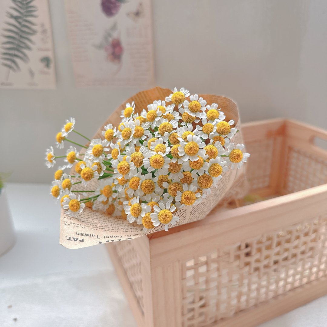 预订自取 | 鲜花花束、毕业花束、洋甘菊花束、玛格丽特花束 - 干燥花/捧花 - 植物．花 黄色