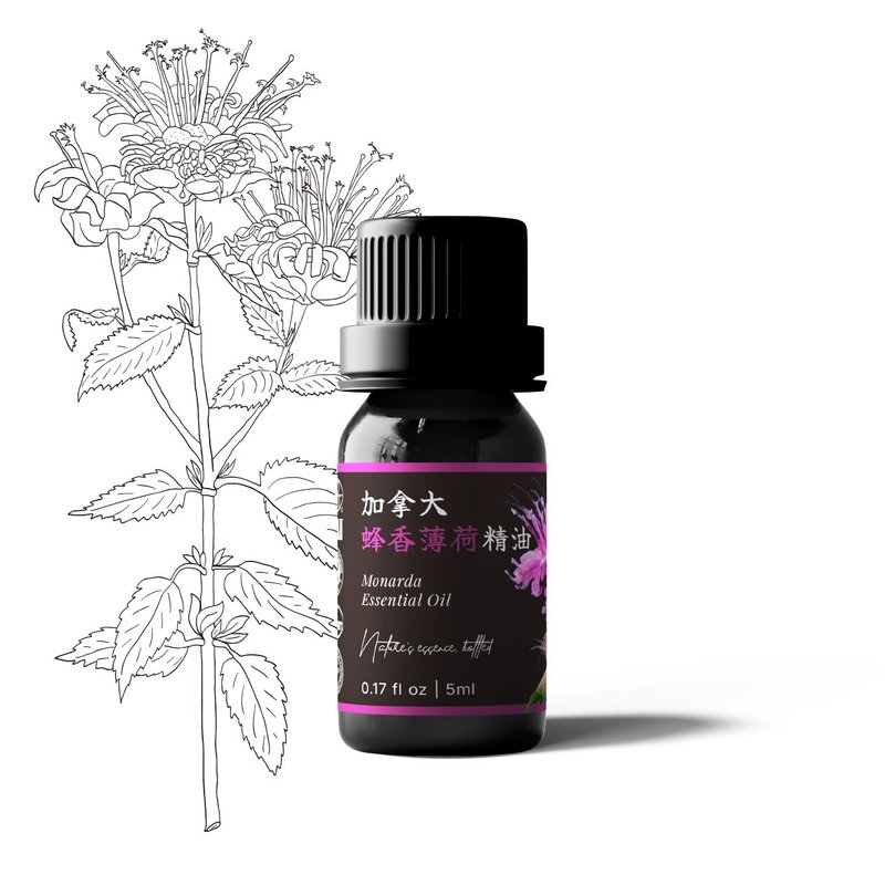 【卡佛香】加拿大蜂香薄荷精油 - 香薰/精油/线香 - 玻璃 黑色