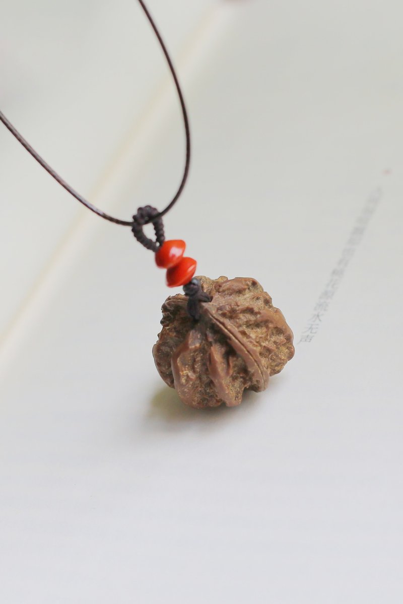 No.8-原創手作 & 植物果壳 | 野山核桃 挂饰 项链 | 一物一图 - 项链 - 植物．花 咖啡色