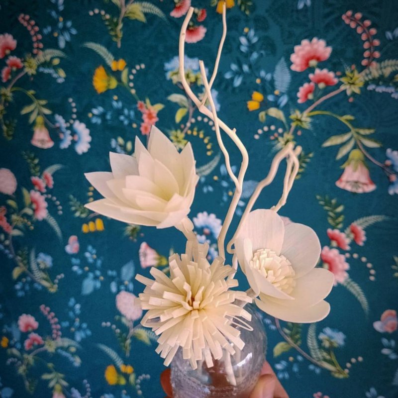 扩香索拉花 - 蜡烛/香氛 - 其他材质 