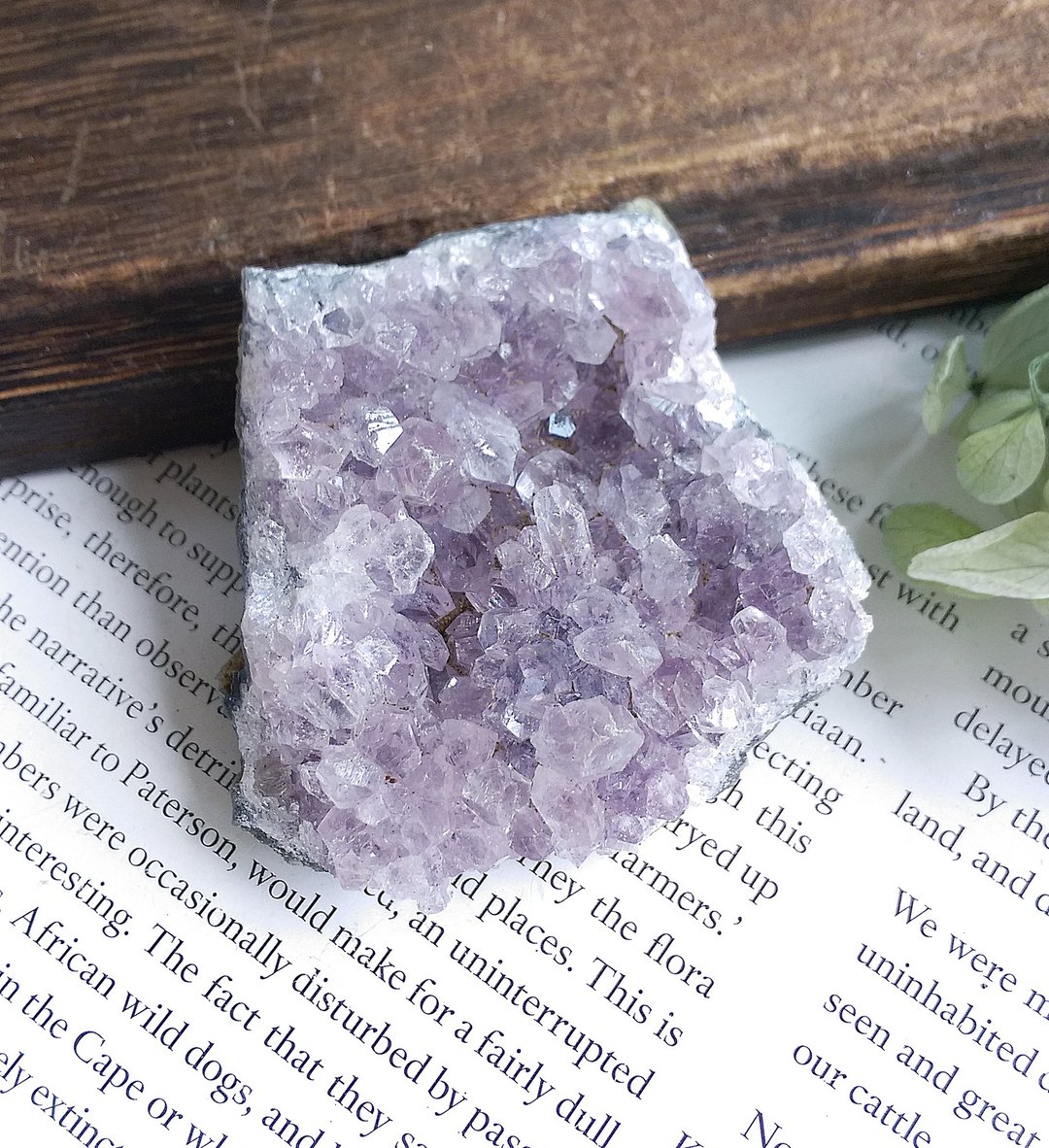 Amethyst 巴西产地 原皮紫水晶 晶簇 天然矿石 原矿 - 摆饰 - 其他材质 