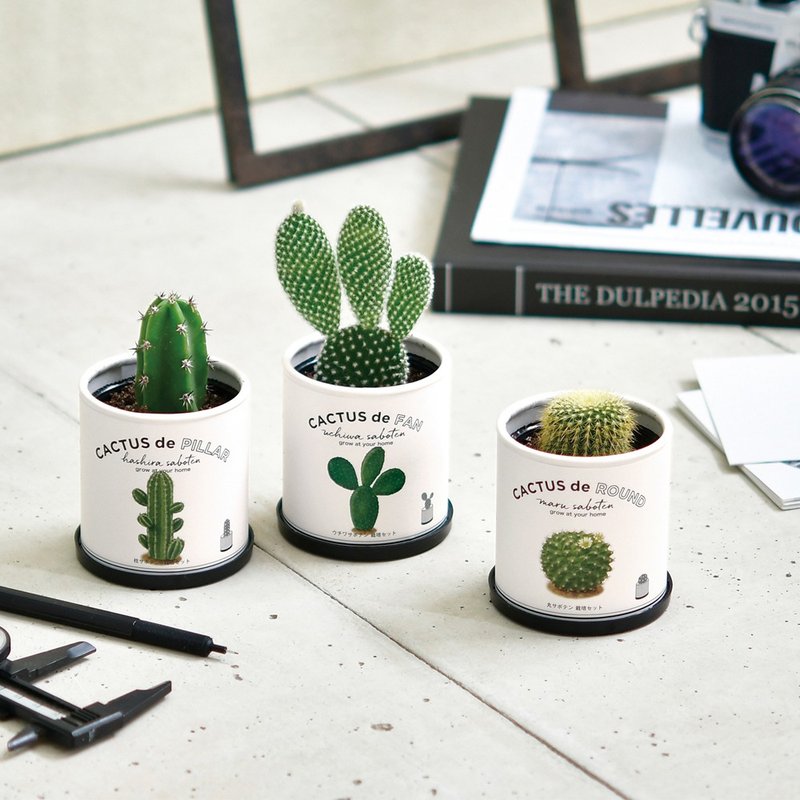 CACTUS de CACTUS 仙人掌植物栽培组 (两款) - 植栽/盆栽 - 纸 白色