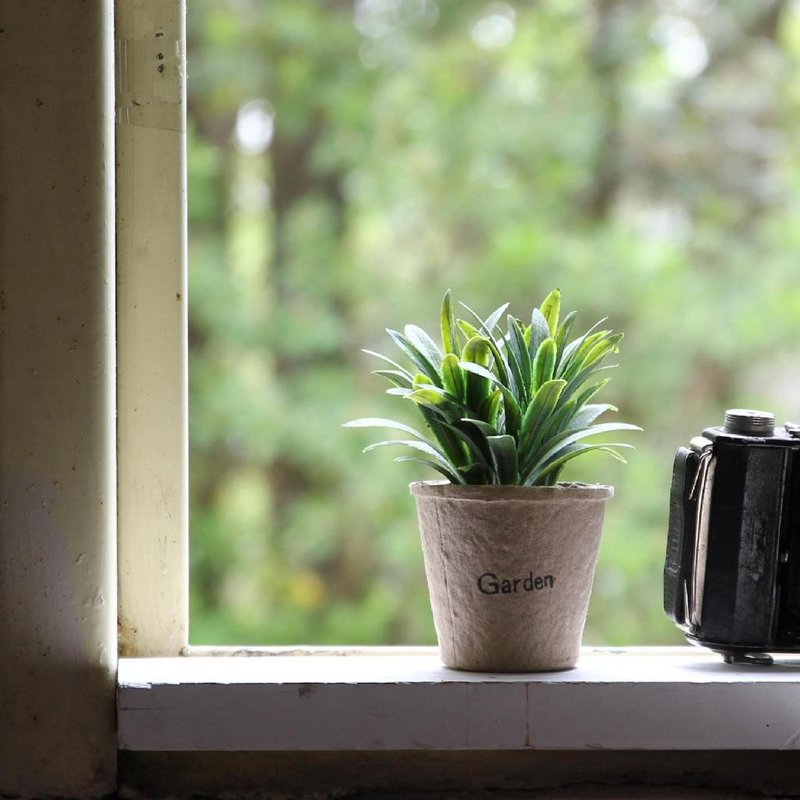 【SPICE】日本超仿真 人造绿色植物(观叶植物)- 访旧纸盆栽B - 植栽/盆栽 - 其他材质 多色