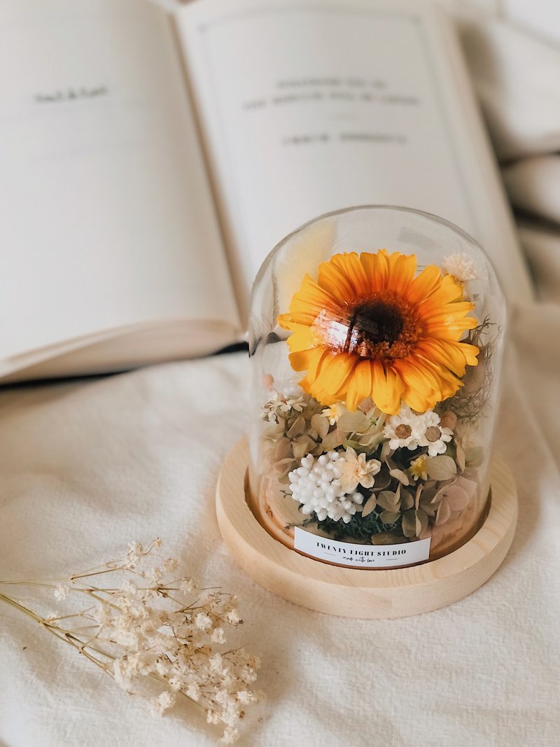 永生小太阳玻璃钟罩 - 干燥花/捧花 - 植物．花 黄色