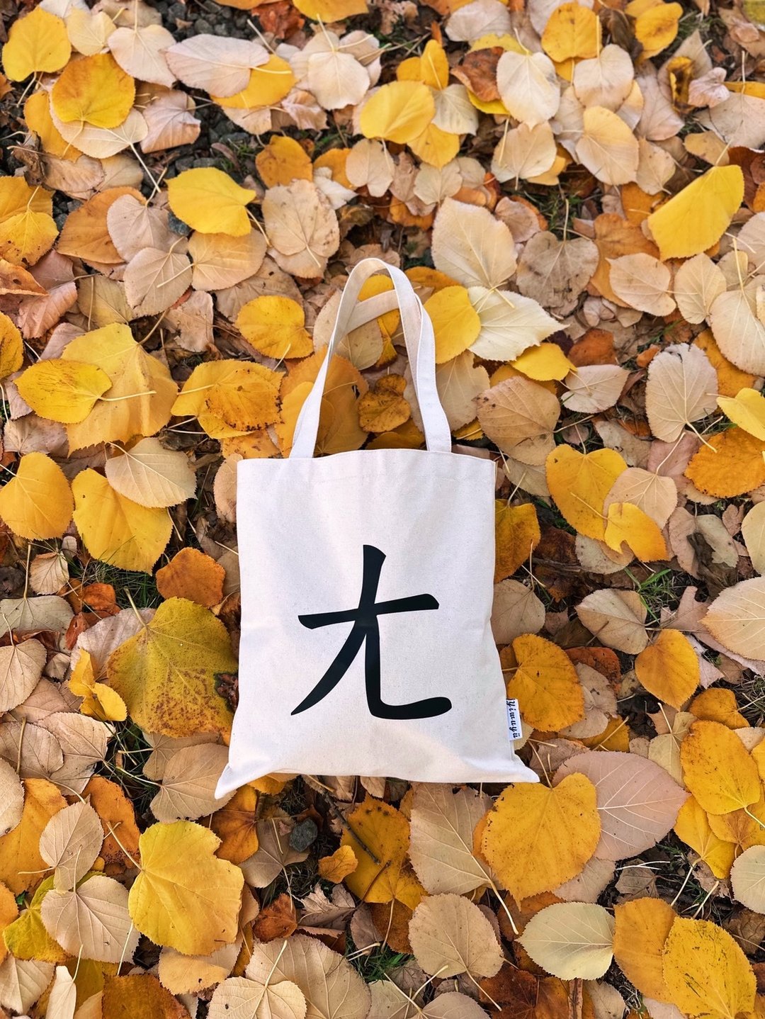 单注音帆布包 Zhuyin Canvas Tote・ㄤ・梦里的光・Light - 侧背包/斜挎包 - 棉 