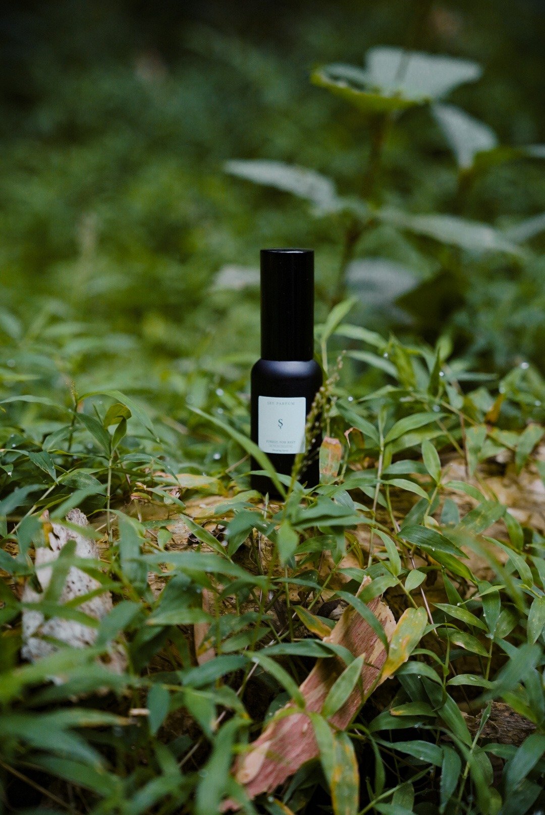 FOREST, FOR REST 天然精油睡眠喷雾 30ml - 尤加利 / 岩兰草 - 香薰/精油/线香 - 其他材质 
