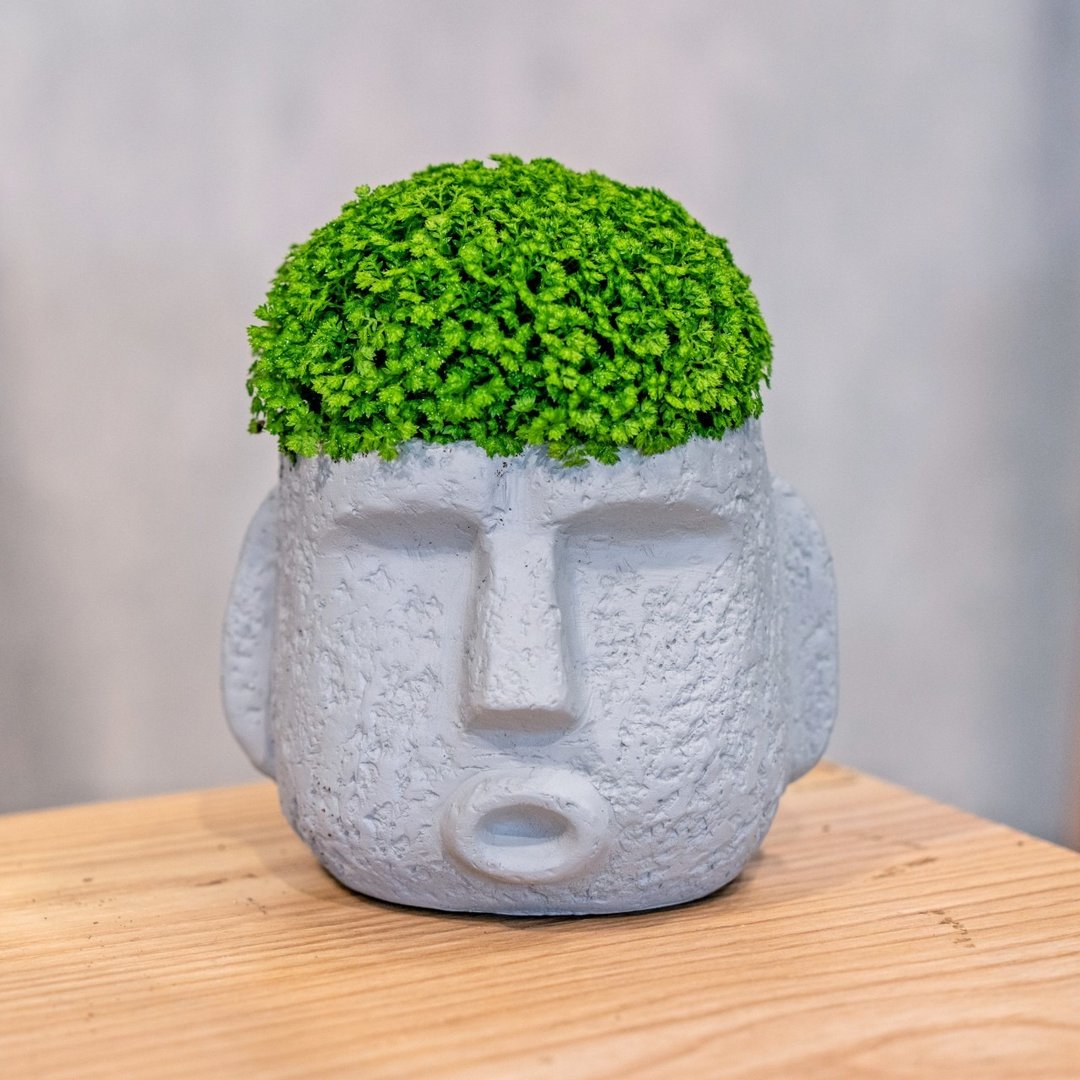 冰淇淋卷柏 摩艾人像 浅灰色 水泥盆栽 桌上型盆栽 乔迁礼物 植栽 - 植栽/盆栽 - 植物．花 