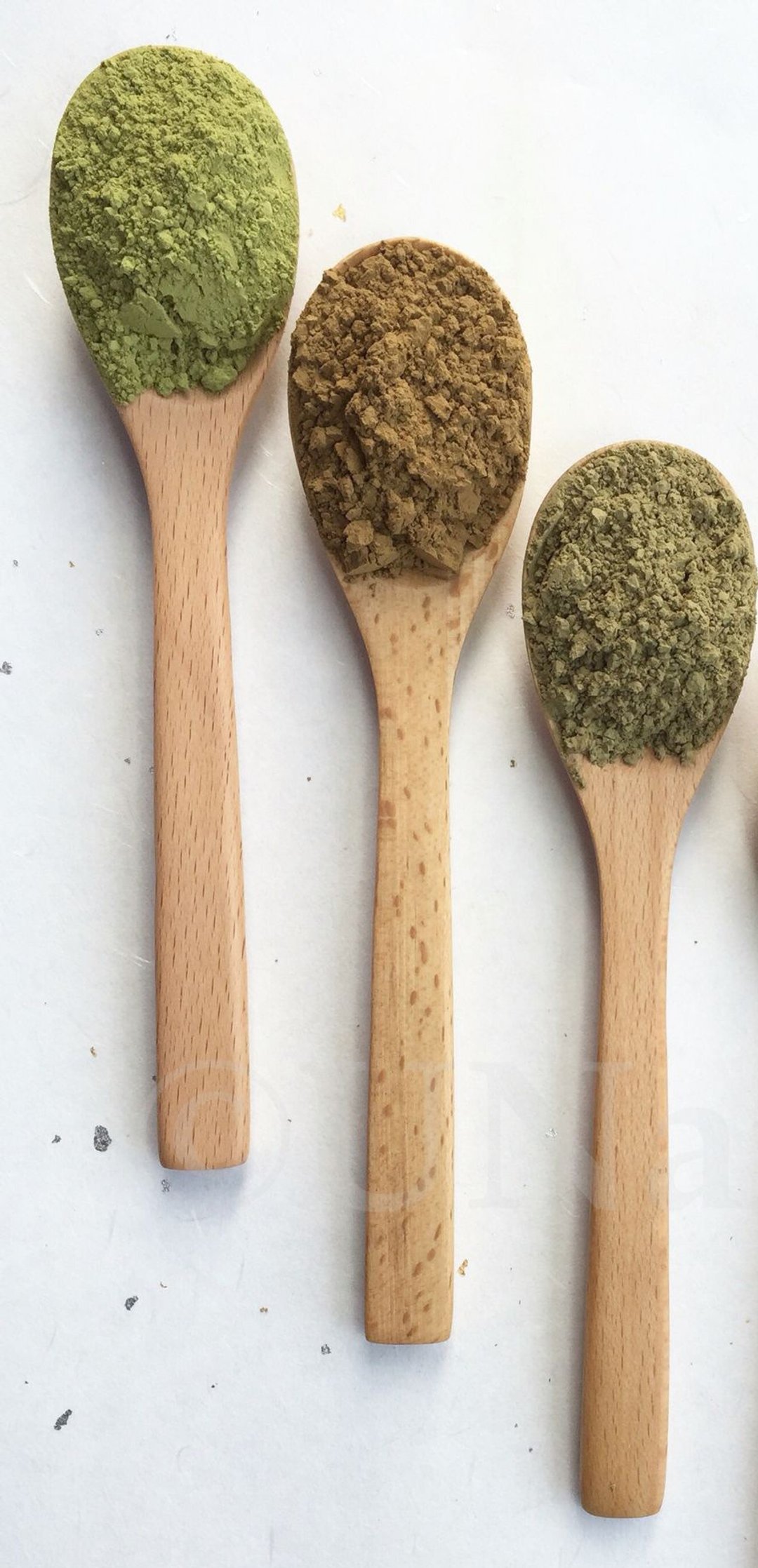自然茶粉-蜜红茶粉 - 茶 - 植物．花 咖啡色