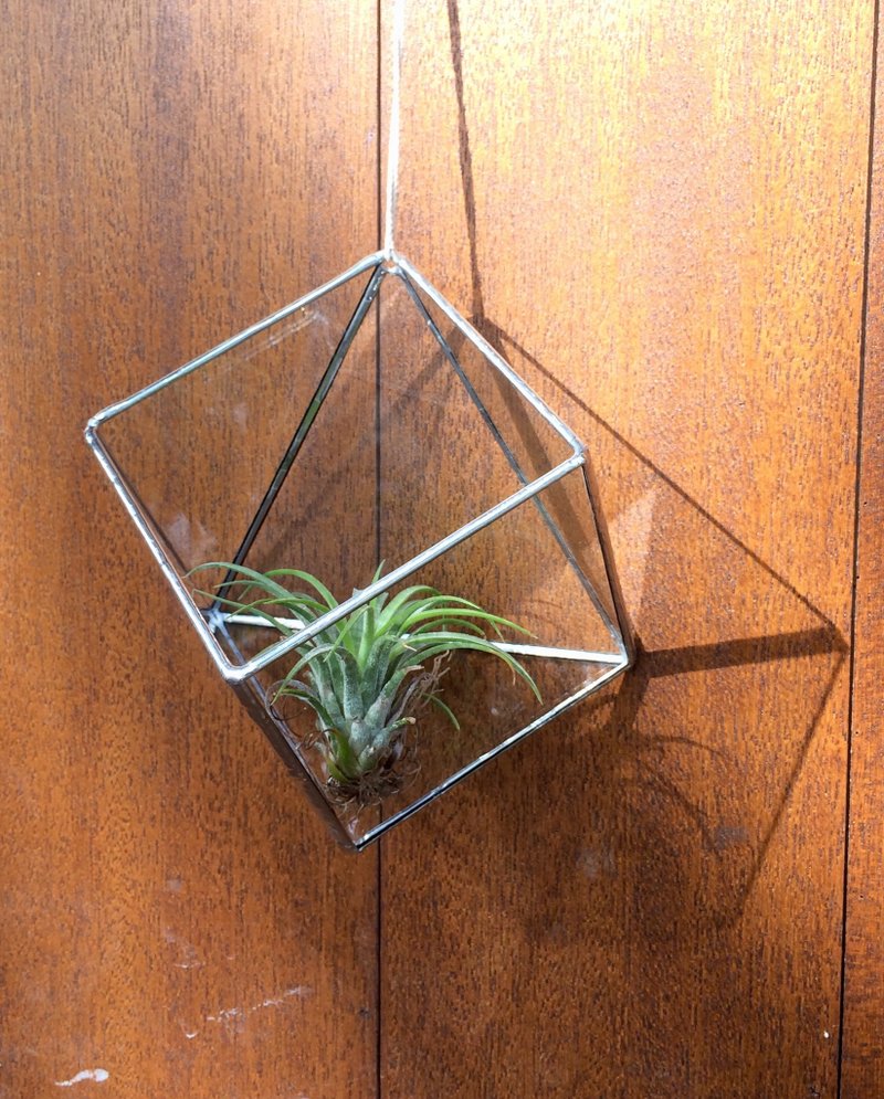 玻璃镶嵌花房 Geometric Glass Container - 植栽/盆栽 - 玻璃 透明