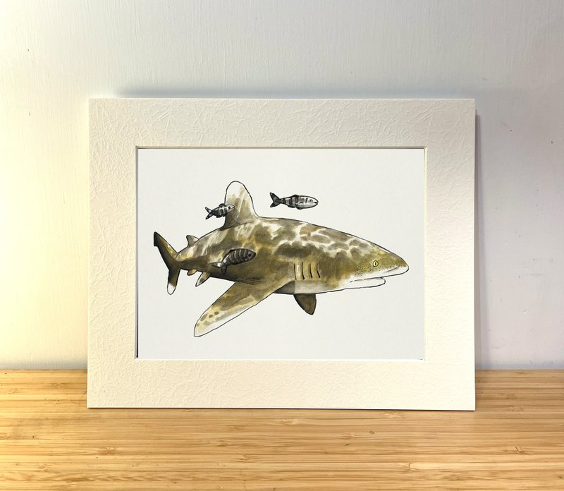海洋插画 A5 艺术印刷画 - 远洋白鳍鲨 - 海报/装饰画/版画 - 纸 