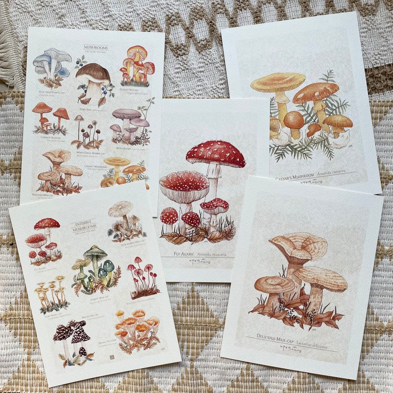 雨季的蕈类图鉴小海报 - 卡片/明信片 - 纸 