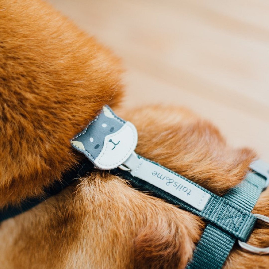 【尾巴与我】专属配件狗头系列 柴犬黑 - 项圈/牵绳 - 其他材质 黑色