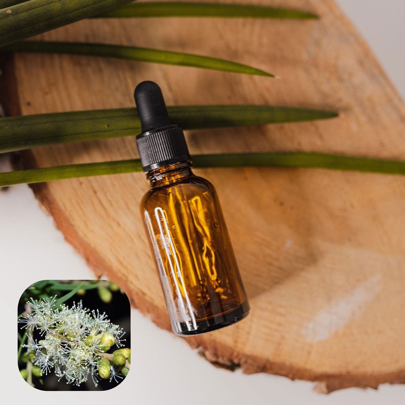 【香间小路】天然精油 尤加利精油 Eucalyptus ( 赠送甜橙精油 ) - 香薰/精油/线香 - 玻璃 透明