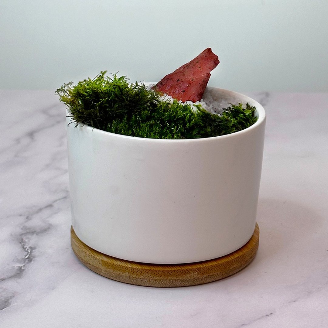 全定制化设计 –灵石苔藓盆栽 /红碧玉 - 植栽/盆栽 - 植物．花 