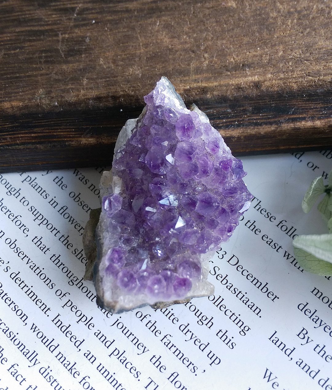Amethyst 巴西产地 原皮紫水晶 晶簇 天然矿石 原矿 - 摆饰 - 其他材质 