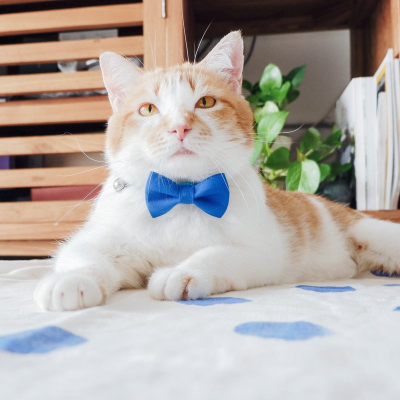 Blue Collar - Breakaway cat collar, earth tone, Personalized collar,Simple bow - 项圈/牵绳 - 棉．麻 蓝色