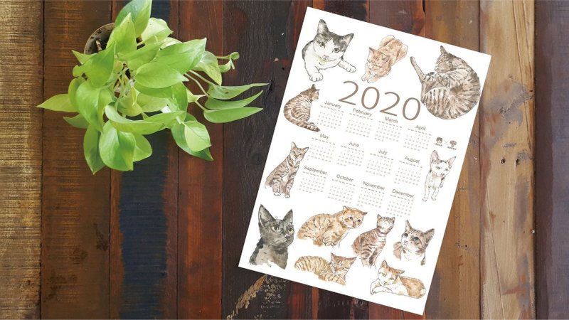 2020兰屿小岛猫年历 - 年历/台历 - 纸 