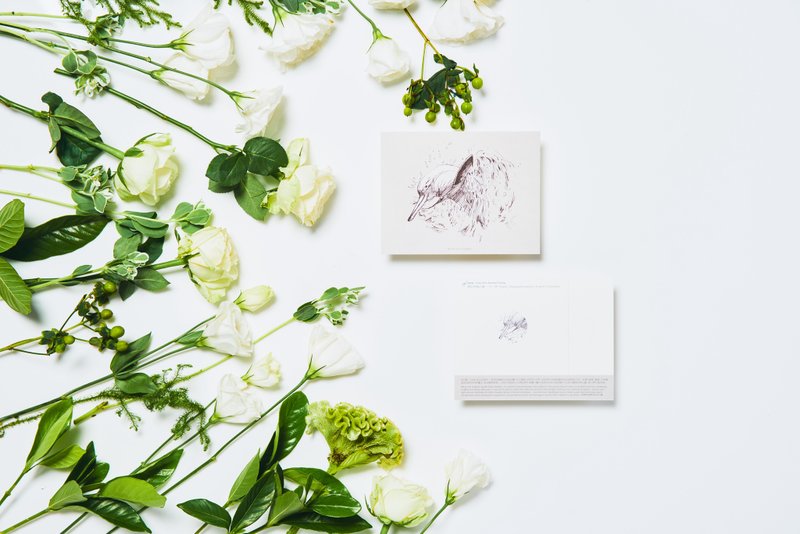 恒河豚, 濒危物种:明信片小卡/ 一卡一捐 - 卡片/明信片 - 纸 灰色