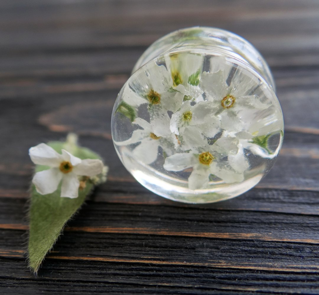 Forget me not plug earrings 8g 6g 4g 2g 00g ear gauges White Flowers - 耳环/耳夹 - 植物．花 白色