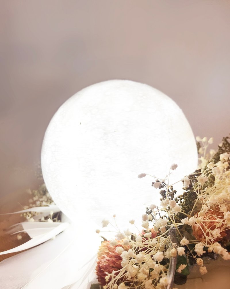 把月球伴在床边【小夜灯干燥花手作】课程 - 植栽 - 塑料 