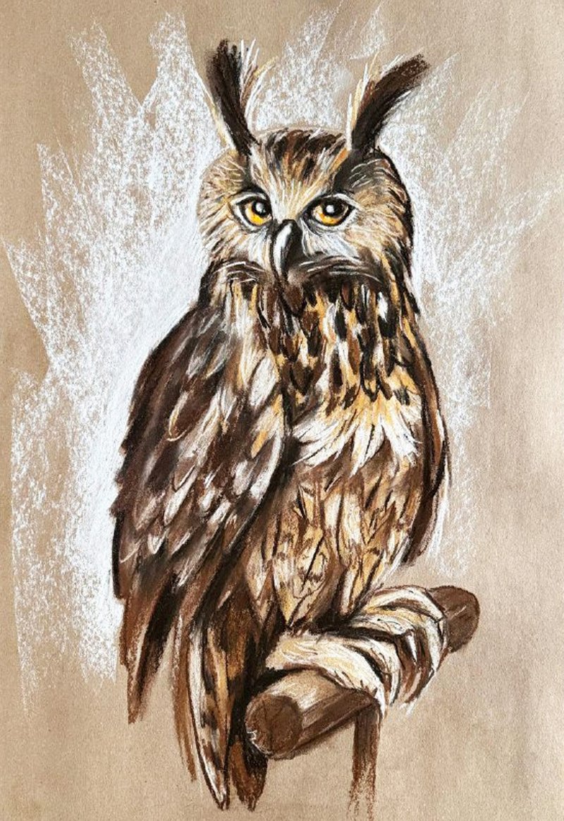 猫头鹰 动物艺术 鸟类绘画 钜 अभियांत्रिकी 素描 鸟类 原作蜡笔画 - 墙贴/壁贴 - 纸 咖啡色