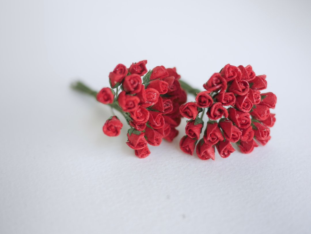纸花，50 片，尺寸 1x0.8 厘米。含苞待放的玫瑰花，红色。 - 其他 - 纸 红色