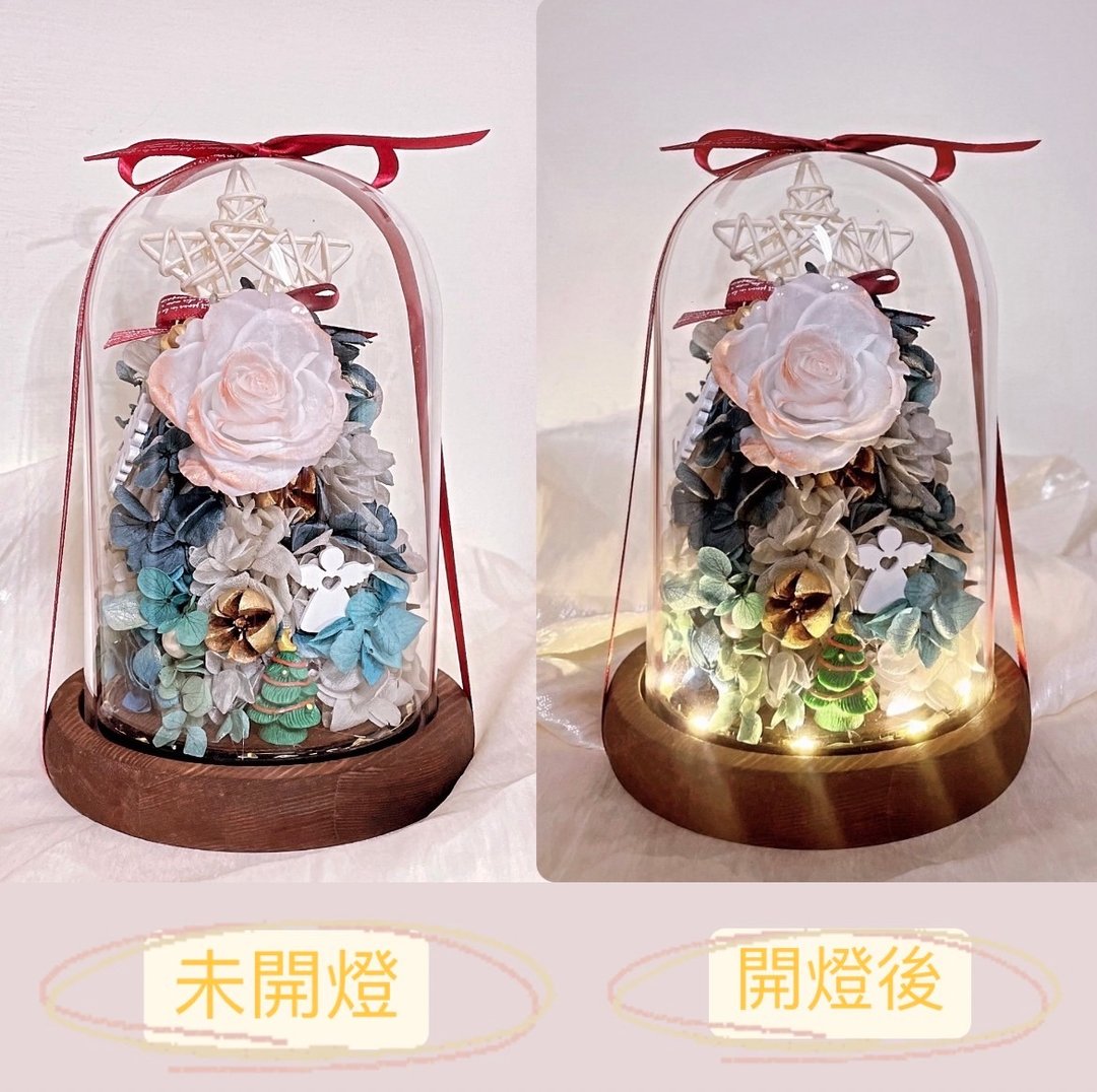 圣诞节礼物/藤编星星圣诞树绣球玫瑰永生花/夜灯永生花盅/9折优惠 - 植栽 - 其他材质 