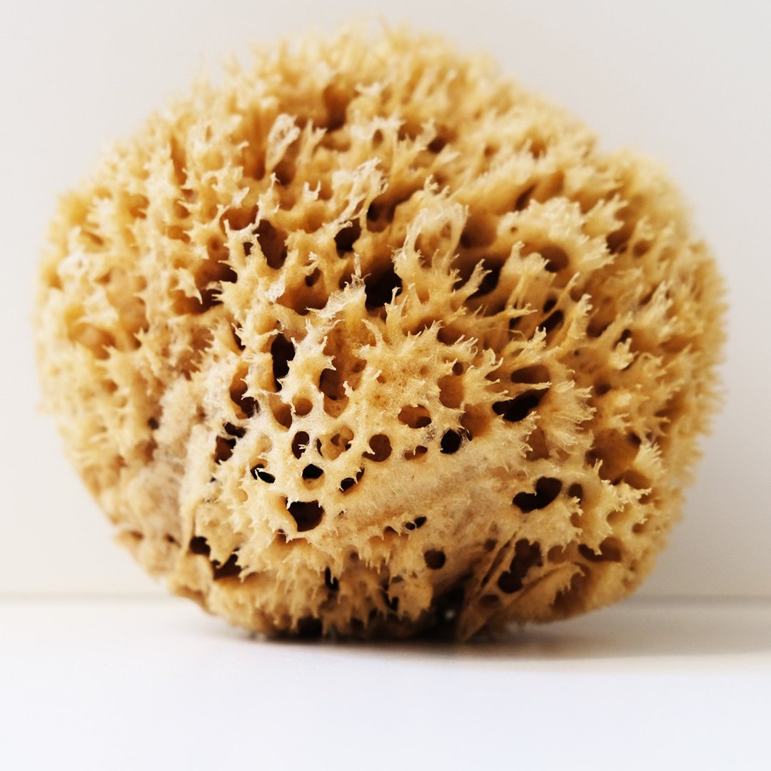 多功能蜂窝 6寸 - 沐浴用品 - 其他材质 咖啡色