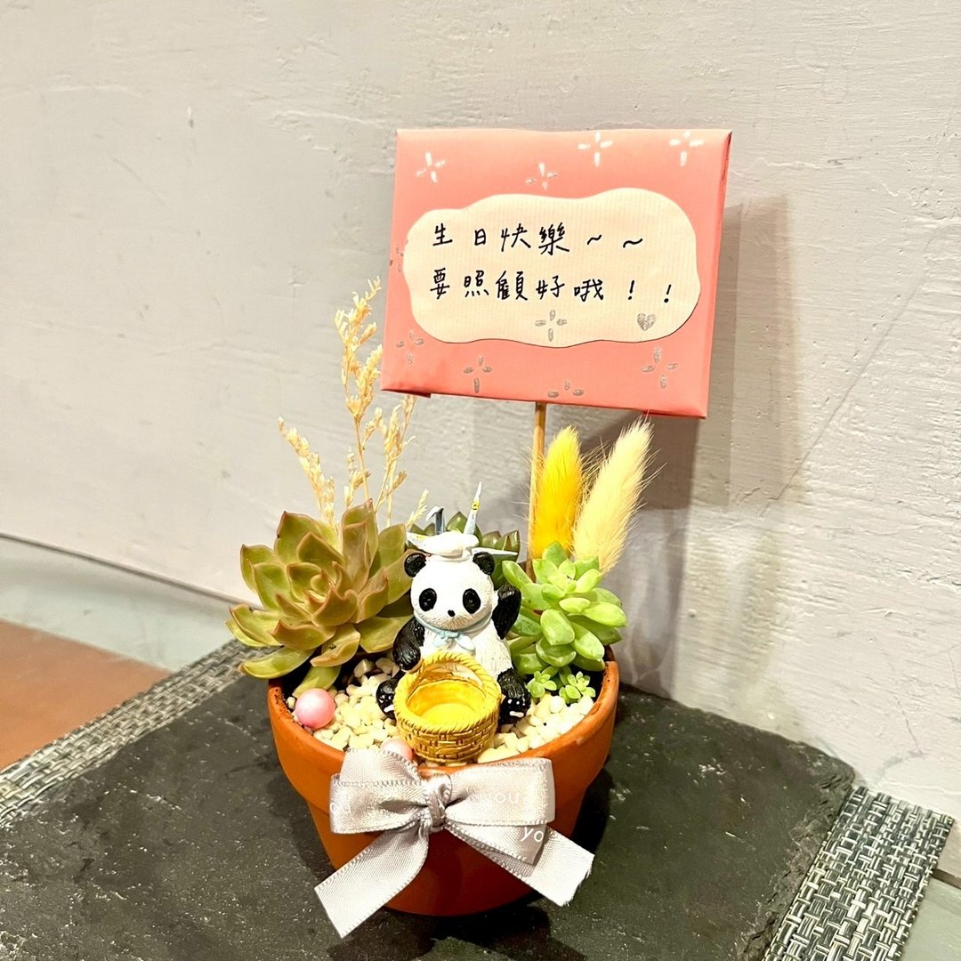 台中多肉组盆 多肉植物 枯山水 日本 熊猫 公仔 餐厅开幕 庆祝 - 植栽/盆栽 - 植物．花 绿色