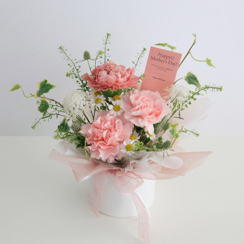 鲜花 西门町自取。Love妈咪 春与时光∣莓粉色系康乃馨 鲜花盆花S - 植栽/盆栽 - 植物．花 粉红色