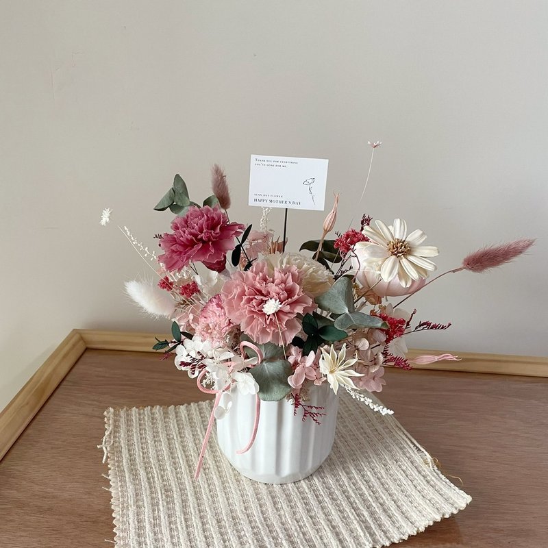 【母亲节花礼】康乃馨 母亲节 永生康乃馨盆花 韩系盆花 永生花 - 干燥花/捧花 - 植物．花 