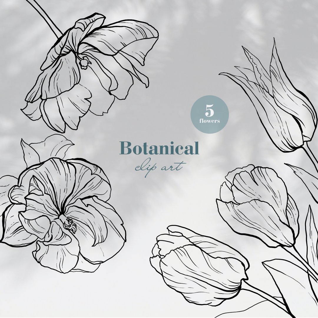 Botanical clipart. Flower digital illustration - 电子手绘真人画像/绘画/插画 - 其他材质 