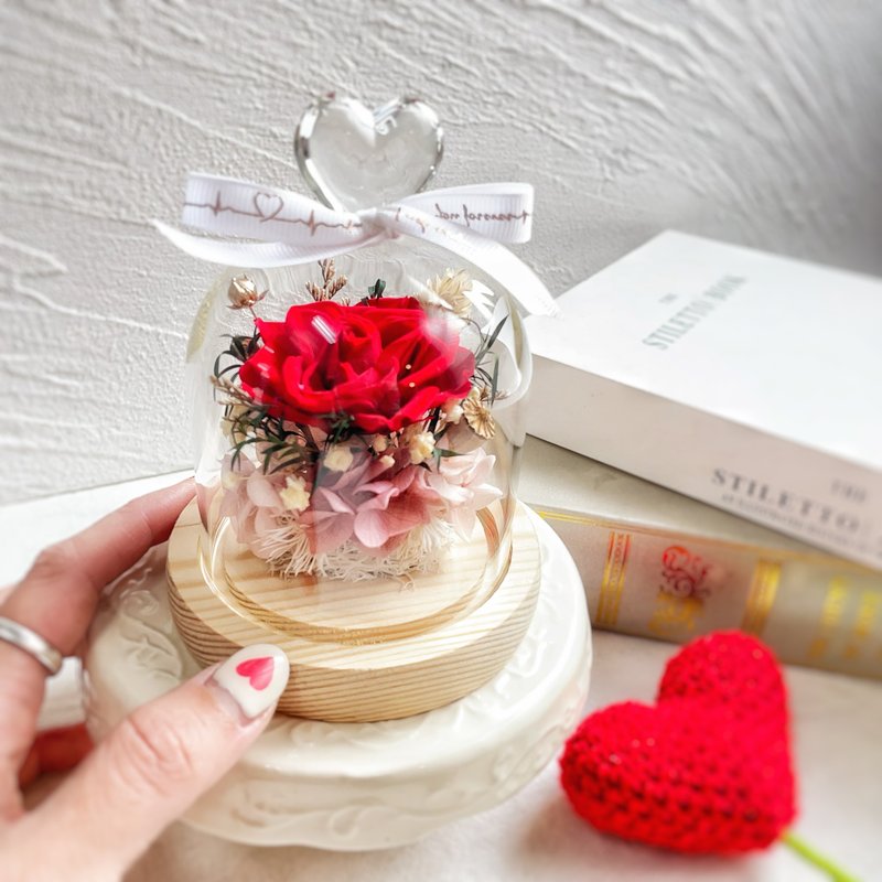 平价款 心动瞬间 永生玫瑰玻璃罩 教师节 情人节 圣诞节 生日礼物 - 干燥花/捧花 - 植物．花 多色