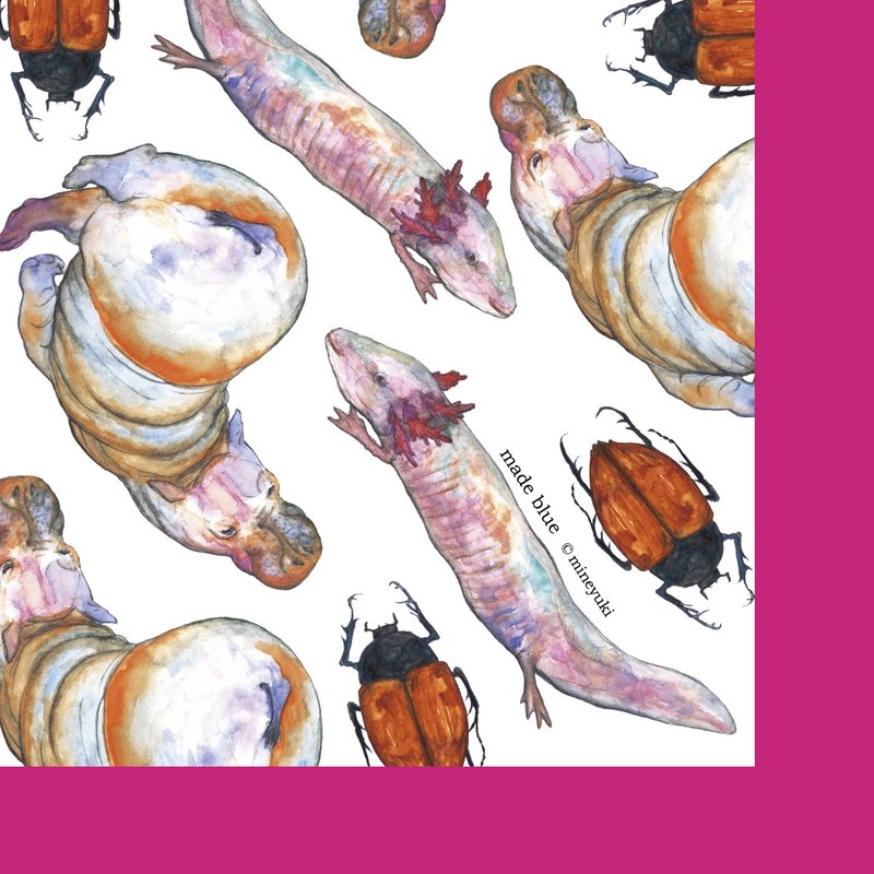 WET -Wrapping paper - 其他 - 纸 白色