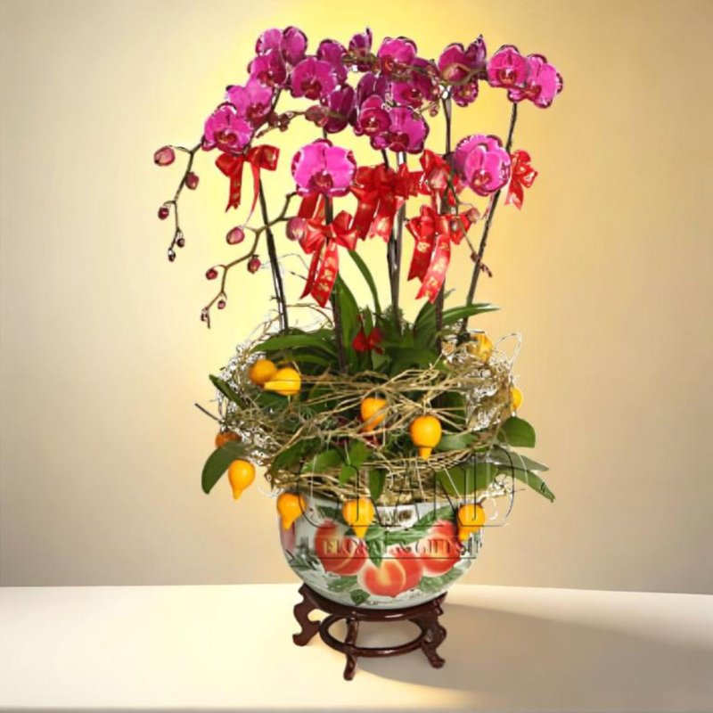 格兰花店 - 如意吉祥 蝴蝶兰6棵配五代果配饰 (NY13OR-30) - 植栽/盆栽 - 植物．花 