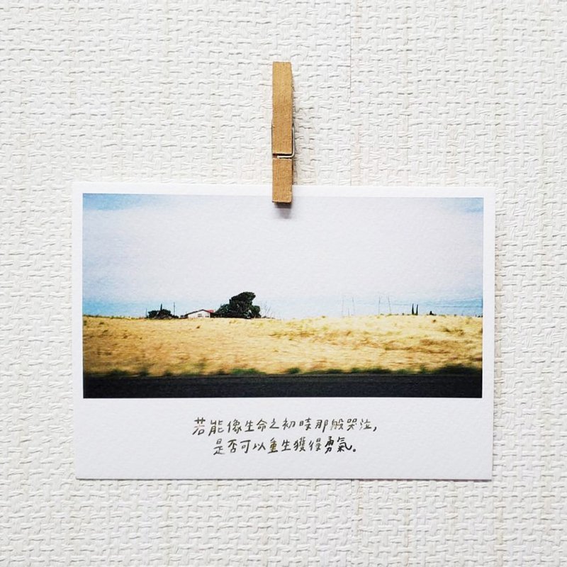 生命之初/ Magai's postcard - 卡片/明信片 - 纸 金色