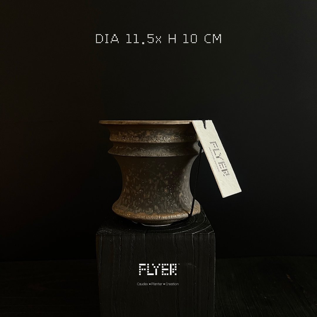 FLYER 块根多肉植物陶盆器 龙舌兰象牙宫象足漆树盆器 - 花瓶/陶器 - 陶 
