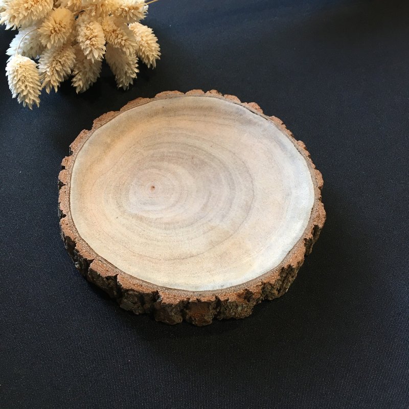 樟木 浅盘 B - 浅碟/小碟子 - 木头 多色