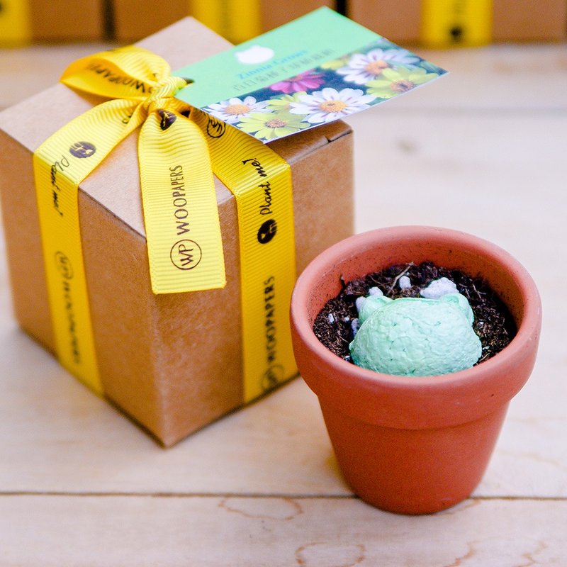 Animal Grows 青蛙造型种子球植栽组 生日礼/感谢礼/毕业礼 - 植栽/盆栽 - 植物．花 绿色