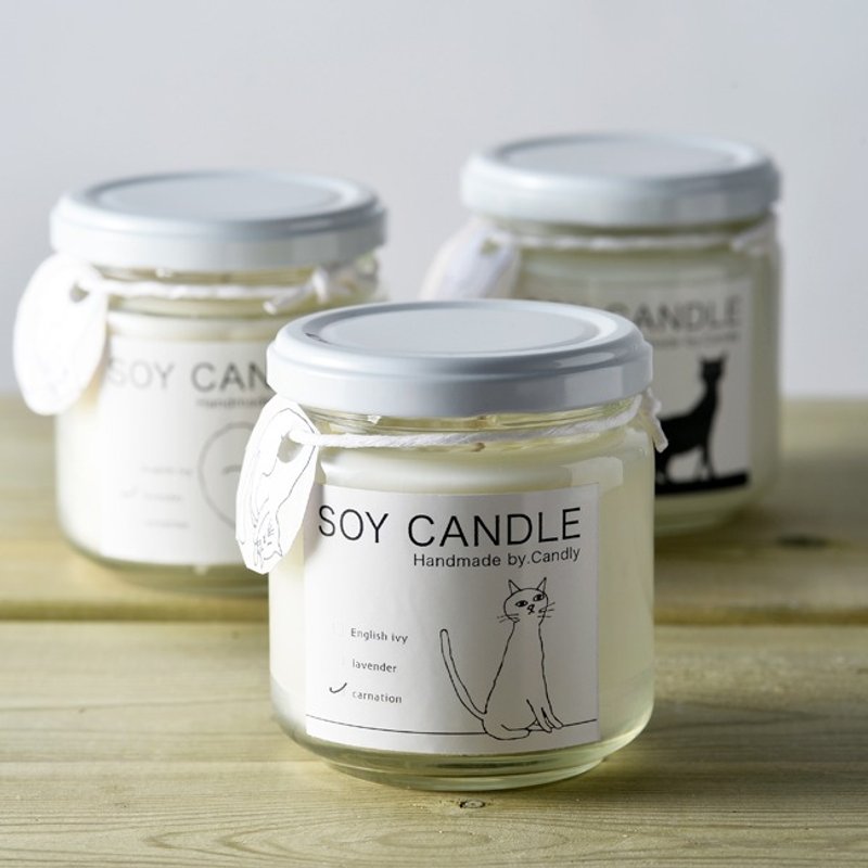 soy candle bottle type - 蜡烛/烛台 - 蜡 白色