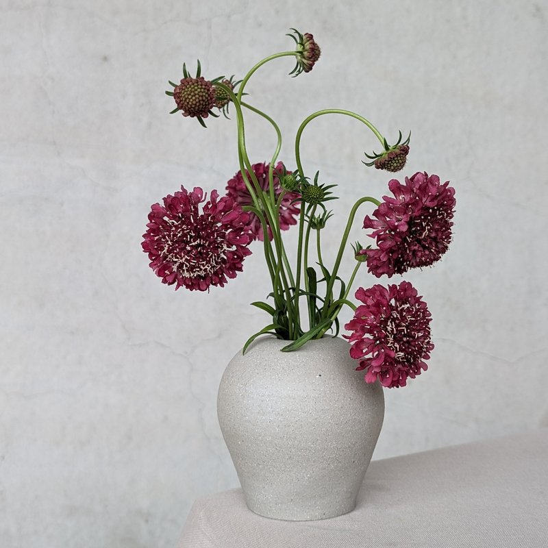 灰泡泡 小花器 - 花瓶/陶器 - 陶 灰色