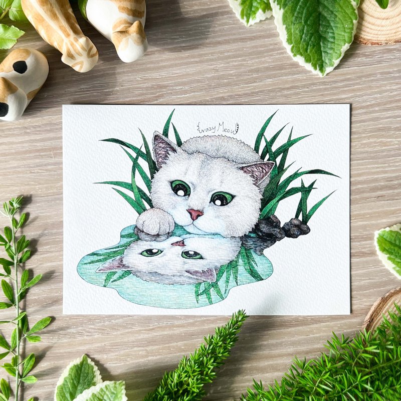 【猫疯子】明信片(113) - 卡片/明信片 - 纸 多色