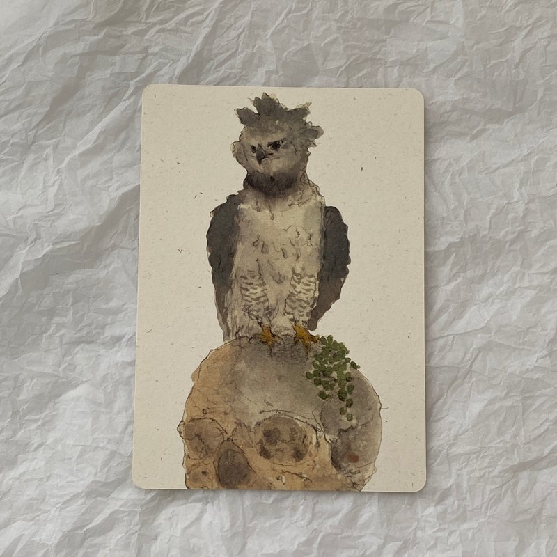 角雕 水彩 圆角明信片 - 卡片/明信片 - 纸 