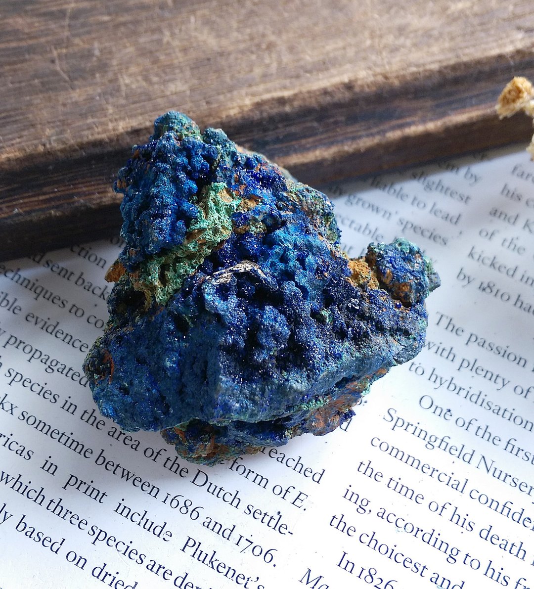 Azurite 湖北产地 蓝铜矿 圭孔雀石 共生矿 天然矿石 原矿 - 摆饰 - 其他材质 