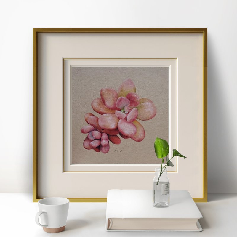 手绘多肉植物画 - 海报/装饰画/版画 - 纸 